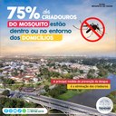 75% dos criadouros do mosquito da dengue estão nas casas