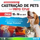 Castração gratuita de cães e gatos no Vera Cruz
