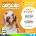 Feirinha de adoção de animais vindos do Canil Municipal de Tremembé