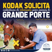 Kodak solicita contratação de veterinário para animais de grande porte