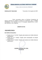 Pauta da 146ª Sessão Ordinária - 17/08/2020