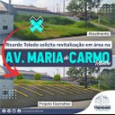Vereador solicita revitalização de área na Av. Maria do Carmo Ribeiro