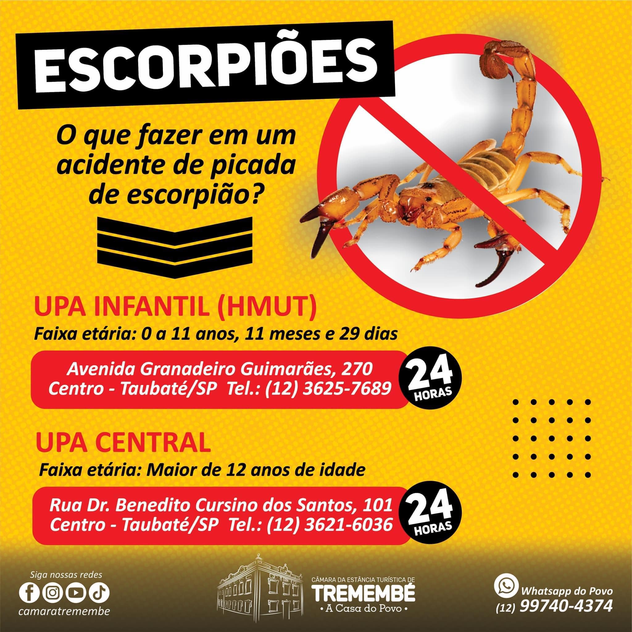 Semana Estadual de Enfrentamento ao Escorpião